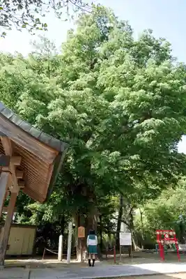 長田神社の自然