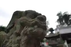 瀧宮神社の狛犬