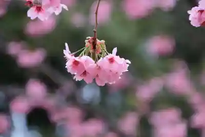 長橋神社の庭園