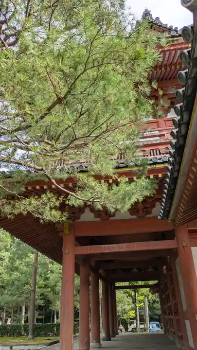 大徳寺(京都府)