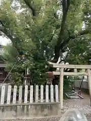 金岡神社の自然