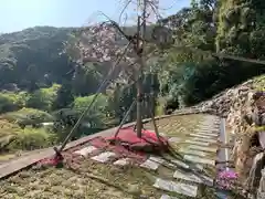 普門寺(切り絵御朱印発祥の寺)の景色