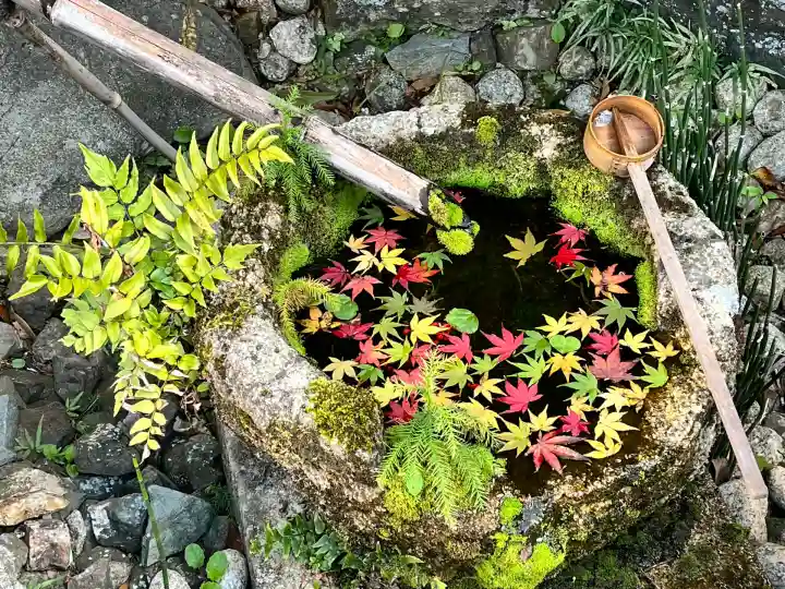 柳谷観音 楊谷寺(京都府)