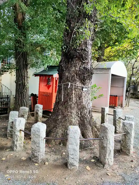 池尻稲荷神社の自然