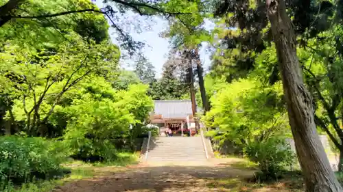 千代ケ岡八幡宮(栃木県)