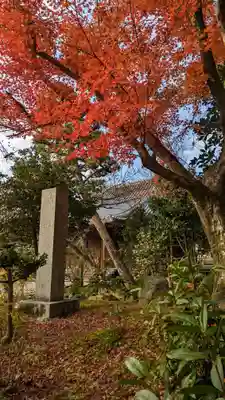 法金剛院(京都府)
