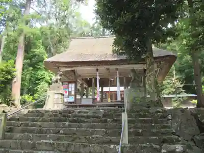 伊香具神社の本殿・本堂