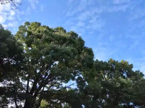 阿佐ヶ谷神明宮(東京都)