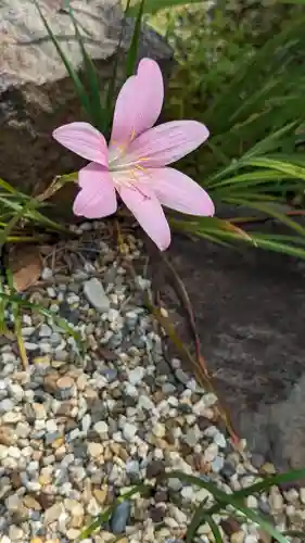 大松禅寺の自然