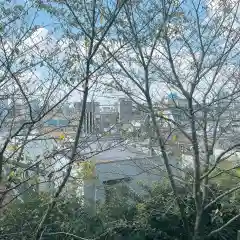 赤城神社(東京都)