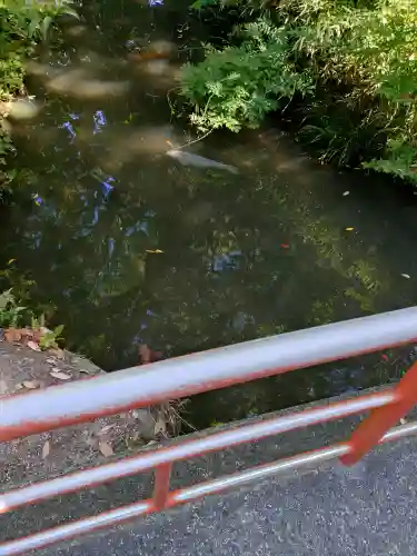大神山神社本宮(鳥取県)