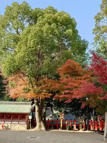 八坂神社(祇園さん)(京都府)