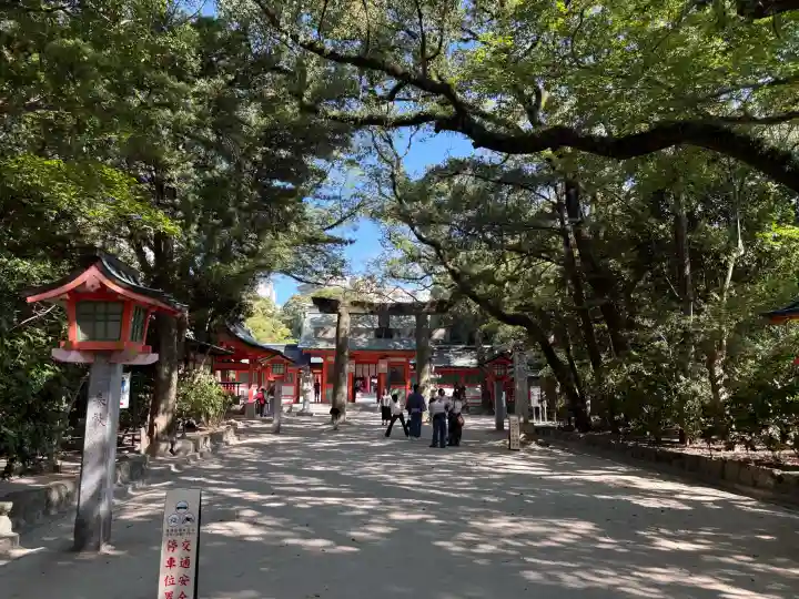 住吉神社の{uncategorized: "未分類", other: "その他", undefined: "問題あり", building: "その他建物", grave: "お墓", sacred_gate: "鳥居", guardian: "狛犬", statue: "像", buddha: "仏像", history: "歴史", nature: "自然", garden: "庭園", animal: "動物", pagoda: "塔", temizu: "手水舎", mountain_gate: "山門・神門", sanctuary: "本殿・本堂", subordinate: "末社・摂社", art: "芸術", scenery: "景色", jizo: "地蔵", ema: "絵馬", goshuin: "御朱印", omikuji: "おみくじ", items: "授与品その他", amulet: "お守り", goshuincho: "御朱印帳", eats: "食事", festival: "お祭り", votive_dance: "神楽", shichigosan: "七五三参", wedding: "結婚式", experience: "体験その他", initially: "初詣", around: "周辺", anti_infection: "感染症対策"}