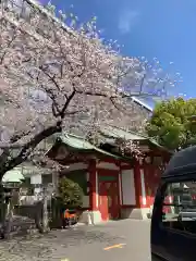 神田神社（神田明神）(東京都)