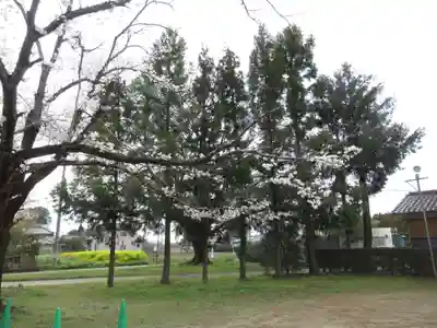 伏木香取神社(茨城県)