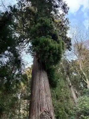 鹿嶋神社(福島県)