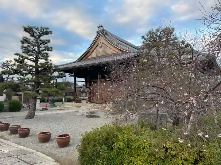 妙蓮寺(京都府)
