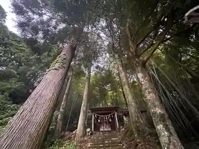 熊野神社(福井県)