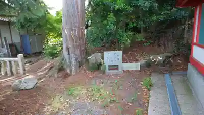 稗田野神社(薭田野神社)(京都府)