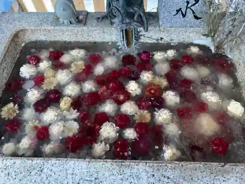 札幌諏訪神社の手水舎