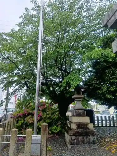 白山神社の{uncategorized: "未分類", other: "その他", undefined: "問題あり", building: "その他建物", grave: "お墓", sacred_gate: "鳥居", guardian: "狛犬", statue: "像", buddha: "仏像", history: "歴史", nature: "自然", garden: "庭園", animal: "動物", pagoda: "塔", temizu: "手水舎", mountain_gate: "山門・神門", sanctuary: "本殿・本堂", subordinate: "末社・摂社", art: "芸術", scenery: "景色", jizo: "地蔵", ema: "絵馬", goshuin: "御朱印", omikuji: "おみくじ", items: "授与品その他", amulet: "お守り", goshuincho: "御朱印帳", eats: "食事", festival: "お祭り", votive_dance: "神楽", shichigosan: "七五三参", wedding: "結婚式", experience: "体験その他", initially: "初詣", around: "周辺", anti_infection: "感染症対策"}
