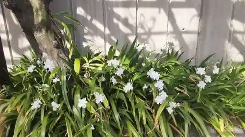 西方山極楽寺(岐阜県)