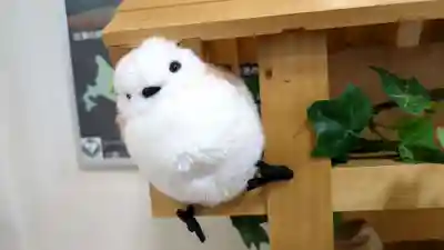 とんとん神社の像