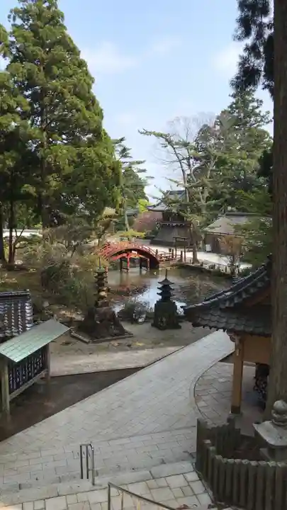 金剛證寺の庭園