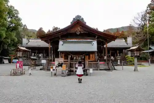 土佐神社の本殿・本堂