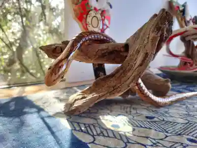 座間神社(神奈川県)