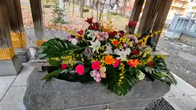 彌彦神社　(伊夜日子神社)の手水舎