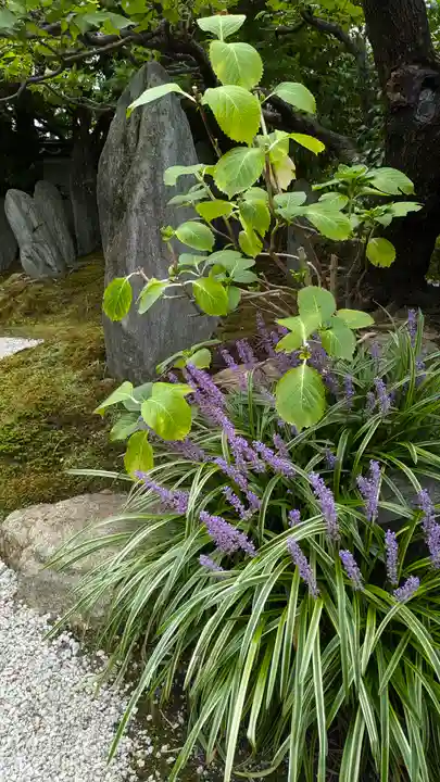 浄篤院(京都府)