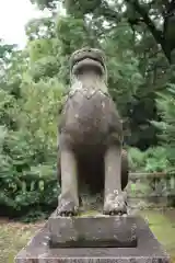 楡山神社の狛犬