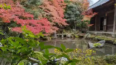 蓮華寺（洛北蓮華寺）(京都府)