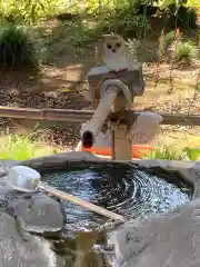 馬場氷川神社の手水