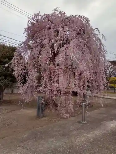 法運寺(宮城県)