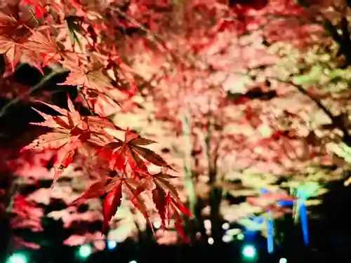 土津神社｜こどもと出世の神さまの庭園