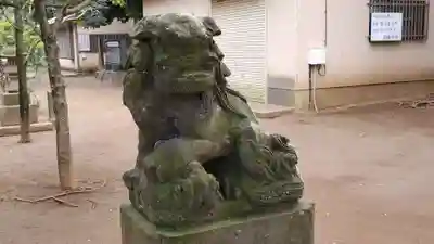 白幡神社の狛犬