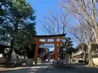 旗岡八幡神社の鳥居