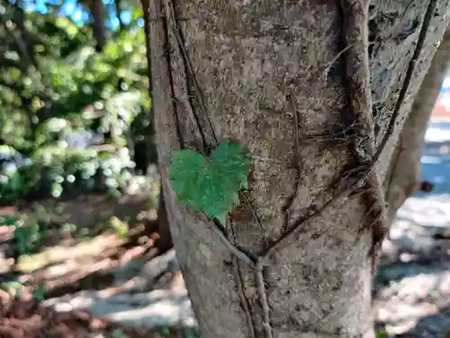 琴崎八幡宮(山口県)