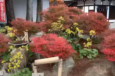 建部大社(滋賀県)