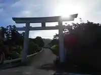 前日の雨は止み終日晴れのお天気に🌞