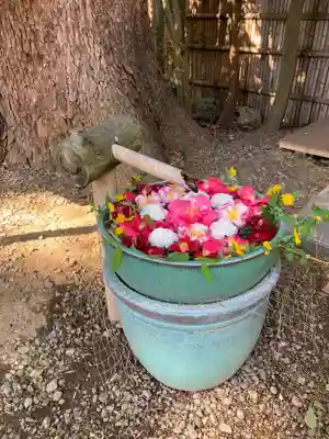 岩槻久伊豆神社(埼玉県)