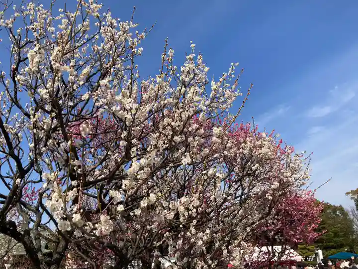 曽根天満宮の自然