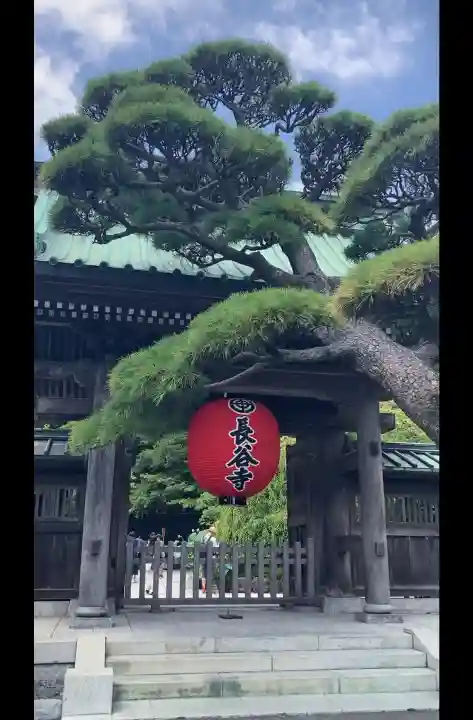 長谷寺(神奈川県)