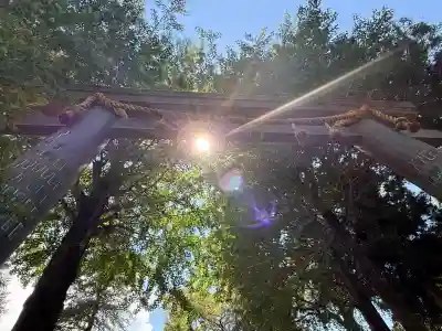 諏訪大社上社前宮(長野県)