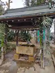 大井氷川神社(埼玉県)