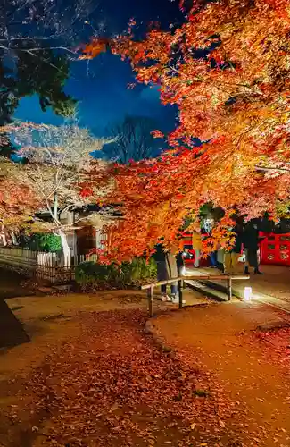 北野天満宮の景色