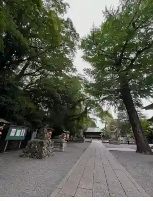 谷保天満宮(東京都)