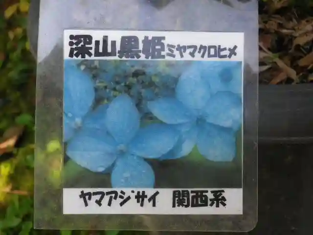 光則寺のその他建物